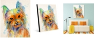 Creative Gallery Colorful Bella Yorkie Dog 16" X 20" Acrylic Wall Art Print